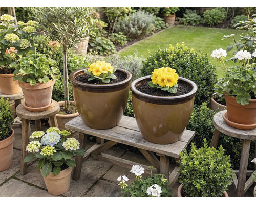 F.C.R.BセットFCRB-240011カーキ＆FCRB-232006茶色 Ghiveci flori FloraSelf Lucca ceramică Ø 31 cm H 27 cm | HORNBACH