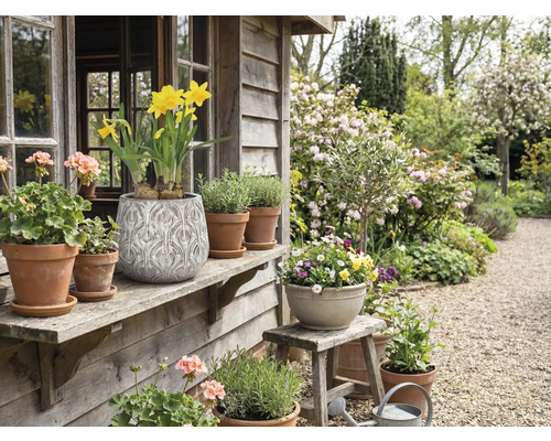 Grădină decorativă cu plante în ghivece și flori pe o verandă din lemn