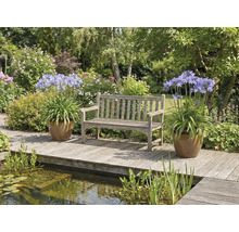 Scenă de grădină cu o bancă de lemn, agapanthus în ghivece și un iaz