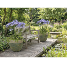 Scenă de grădină cu bancă, iaz și plante în ghivece