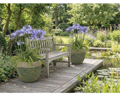 Scenă de grădină cu bancă, iaz și plante în ghivece