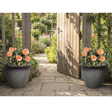 Alei decorativă în grădină cu două jardiniere și o poartă de grădină