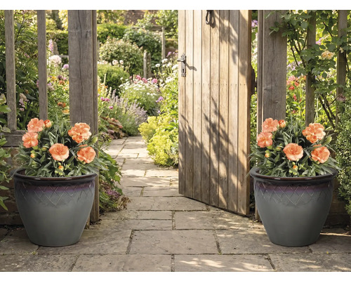 Alei decorativă în grădină cu două jardiniere și o poartă de grădină