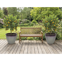 Grădină cu bancă de lemn și doi mandarini în ghivece pe o terasă de lemn.