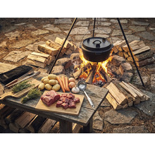 Scenă cu o oală olandeză deasupra unui foc deschis, înconjurată de lemne de foc, cu ingrediente precum carne, cartofi și legume pe o masă de lemn