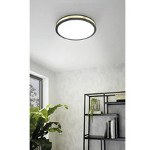 Plafonieră rotundă în sufragerie cu raft și plantă de apartament