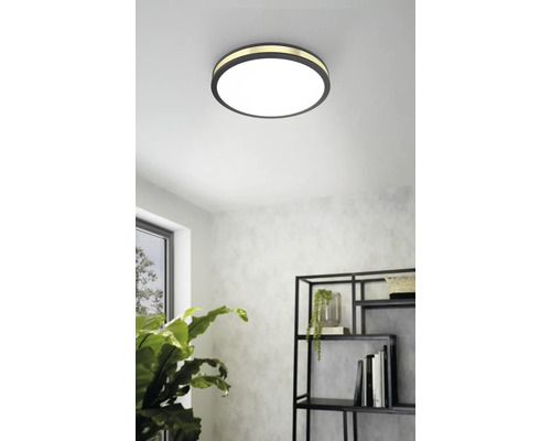 Plafonieră rotundă în sufragerie cu raft și plantă de apartament