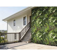 Perete de casă cu grădină verticală și scară