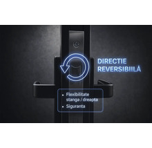 Încuietoare de poartă cu direcție reversibilă, flexibilitate stânga sau dreapta și siguranță sporită.