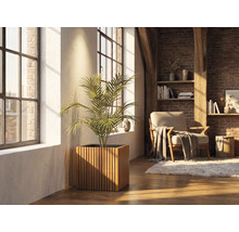 Ghiveci pătrat din lamele de lemn cu o plantă de interior într-o cameră de zi luminoasă, cu perete de cărămidă și ferestre mari.