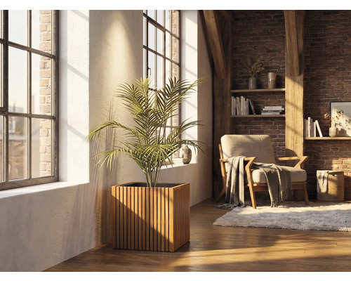 Ghiveci pătrat din lamele de lemn cu o plantă de interior într-o cameră de zi luminoasă, cu perete de cărămidă și ferestre mari.