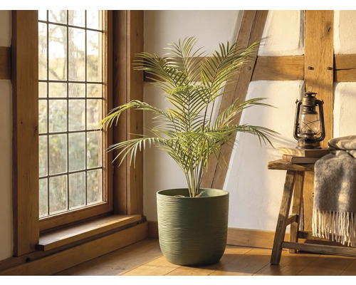 Palmier artificial într-un ghiveci verde texturat într-o cameră rustică luminoasă, cu grinzi de lemn, o fereastră și un taburet cu felinar.