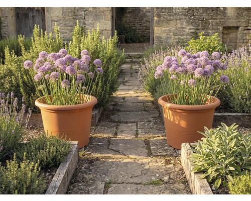 SRL BRIMTYPE PLANT POT-S valiem カタチ製作所 Ghiveci Campanula plastic Ø 60 cm H 40 cm teracotă | HORNBACH
