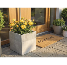 Ghiveci pătrat cu aspect de beton, cu trandafiri galbeni la intrarea unei case, lângă un covoraș Welcome pe plăci de piatră.