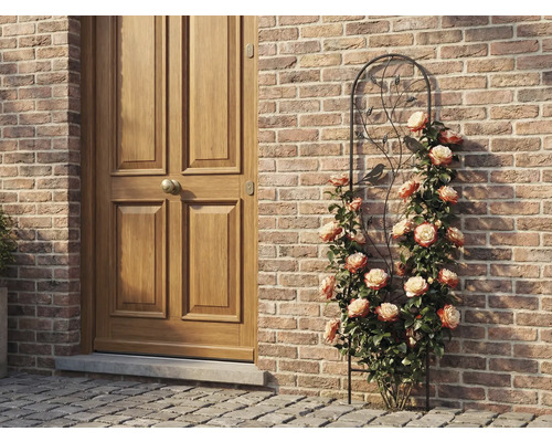 Spalier din metal cu motive de păsări și frunze, cu trandafiri cățărători pe un perete de cărămidă lângă o ușă din lemn.