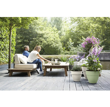 Terasă de grădină luminoasă cu podea din lemn, canapea lounge cu perne, masă din lemn și diverse plante în ghivece lângă apă.