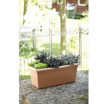 Jardinieră dreptunghiulară din plastic cu aspect de teracotă pe o terasă, plantată cu ierburi aromatice și salată în fața unui gard metalic.