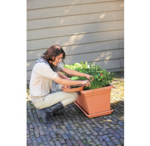 O femeie recoltează plante aromatice și legume dintr-o jardineră dreptunghiulară de culoarea teracotei pe o terasă pavată.