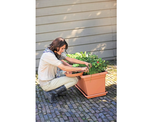 O femeie recoltează plante aromatice și legume dintr-o jardineră dreptunghiulară de culoarea teracotei pe o terasă pavată.