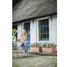 Zonă de grădină în fața unei case cu acoperiș de stuf, pereți albi, ferestre albastre, jardiniere mari de teracotă și o femeie la o masă de bistro.