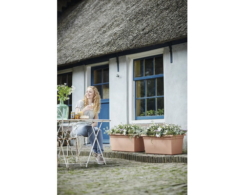 Zonă de grădină în fața unei case cu acoperiș de stuf, pereți albi, ferestre albastre, jardiniere mari de teracotă și o femeie la o masă de bistro.