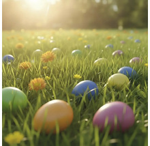 Ouă de Paște colorate în iarbă pe o pajiște cu flori galbene în lumină puternică.