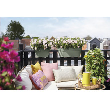 Jardiniere de balcon de culoare verde salvie cu flori roz deschis pe o balustradă neagră deasupra unei canapele deschise cu perne colorate.