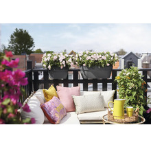 Balcon amenajat cu canapea de exterior, perne colorate și jardiniere negre pe balustradă cu flori roz deschis.