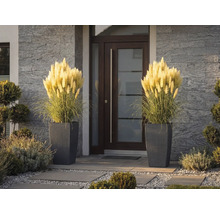 Două ghivece înalte cu aspect împletit și iarbă de pampas decorativă lângă o ușă de intrare modernă cu perete de piatră.