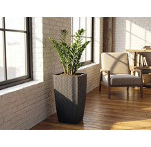 Ghiveci înalt pătrat împletit cu o plantă Zamioculcas într-o cameră luminoasă cu pereți din cărămidă albă și podea din lemn.