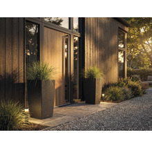 Două ghivece înalte, închise la culoare, cu aspect de ratan și iarbă ornamentală la o intrare modernă și organizată cu lambriuri din lemn.