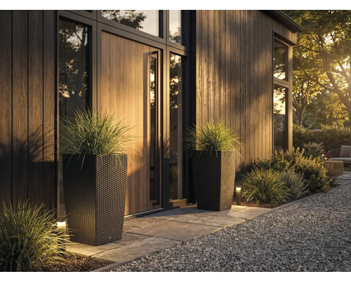 Două ghivece înalte, închise la culoare, cu aspect de ratan și iarbă ornamentală la o intrare modernă și organizată cu lambriuri din lemn.