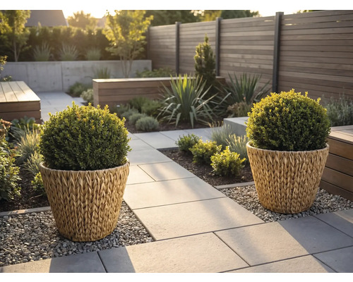 Grădină modernă cu două jardiniere împletite cu arbuști sferici pe o alee de piatră lângă un gard de lemn și zone cu pietriș.