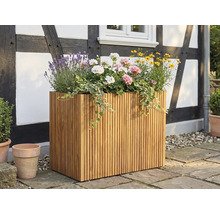 Ghiveci dreptunghiular mare din șipci de lemn, plantat cu lavandă și mușcate, pe o terasă în fața unei fațade cu paiantă.