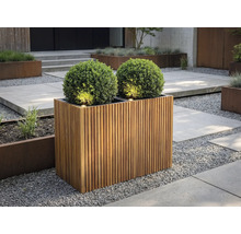 Ghiveci dreptunghiular din lamele de lemn cu doi arbuști sferici și iluminat integrat într-o grădină modernă cu pietriș.