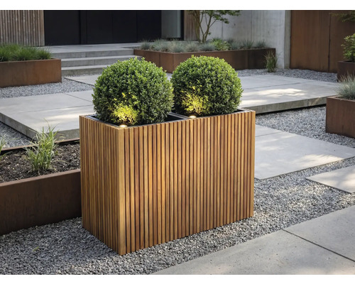 Ghiveci dreptunghiular din lamele de lemn cu doi arbuști sferici și iluminat integrat într-o grădină modernă cu pietriș.