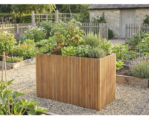 Strat înălțat din șipci de lemn cu roșii și ierburi aromatice într-o grădină luminoasă și organizată cu alei de pietriș.