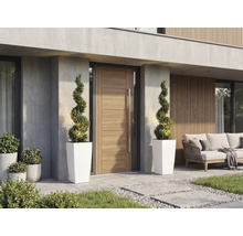 Intrare modernă cu ușă din lemn, mâner metalic lung, două plante în formă de spirală în ghivece albe înalte și mobilier de grădină.