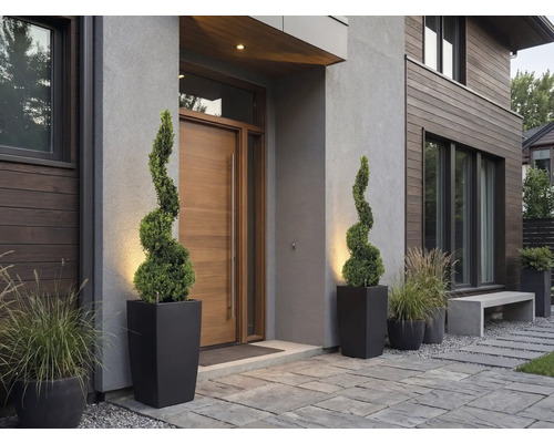 Intrare modernă în casă cu ușă din lemn, doi cimișiri în spirală în ghivece negre înalte și iarbă ornamentală pe pavaj de piatră.