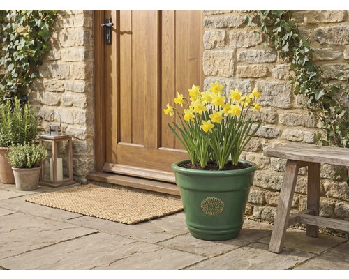 Ghiveci din ceramică glazurată verde cu emblemă de floarea-soarelui și narcise galbene, pe o terasă din piatră lângă o ușă din lemn.