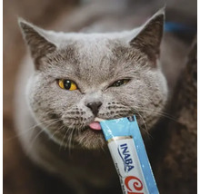 Pisică gri care linge o gustare pentru pisici Inaba dintr-un pachet albastru.