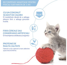 Recompense sănătoase pentru pisici sub un an: conținut scăzut de calorii, fără cereale sau conservanți artificiali, proteine de înaltă calitate.
