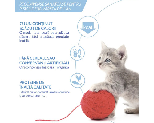 Recompense sănătoase pentru pisici sub un an: conținut scăzut de calorii, fără cereale sau conservanți artificiali, proteine de înaltă calitate.