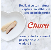 Churu Logo, gustare pentru pisici din ton sălbatic sau pui cu textură cremoasă într-un bol în formă de inimă.