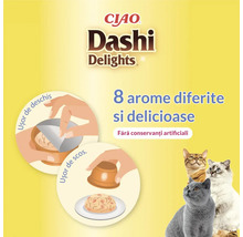 CIAO Logo, hrană pentru pisici CIAO Dashi Delights cu 8 arome, fără conservanți artificiali, ilustrații pentru deschidere și servire ușoară.