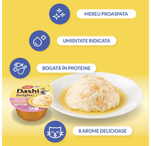 Hrană pentru pisici Inaba Dashi Delights cu pui și somon, servită pe farfurie, umiditate ridicată, bogată în proteine, disponibilă în opt arome.