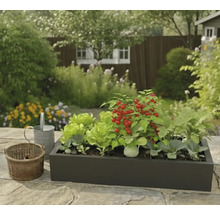 Jardinieră dreptunghiulară neagră cu salată, roșii cherry și alte legume pe o terasă de piatră într-o grădină luminoasă, cu o stropitoare.