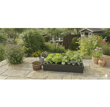 Jardinieră neagră cu salată și răsaduri de legume pe o terasă de piatră într-o grădină luminoasă cu flori și o căsuță de grădină.