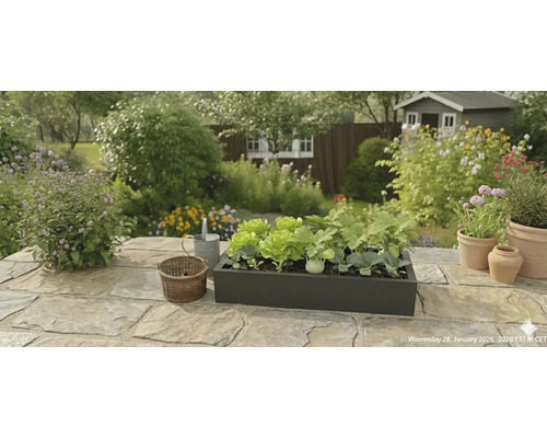 Jardinieră neagră cu salată și răsaduri de legume pe o terasă de piatră într-o grădină luminoasă cu flori și o căsuță de grădină.