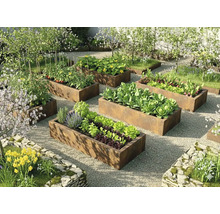 Grădină luminoasă organizată cu straturi înălțate rectangulare din oțel Corten cu legume și ierburi pe pietriș.